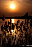 Long Pond Sunset-Social Media (Choose Folder)-4